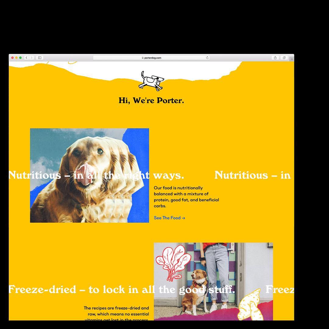 Branding, packaging, creative direction and web-design & development for Porter & Pals