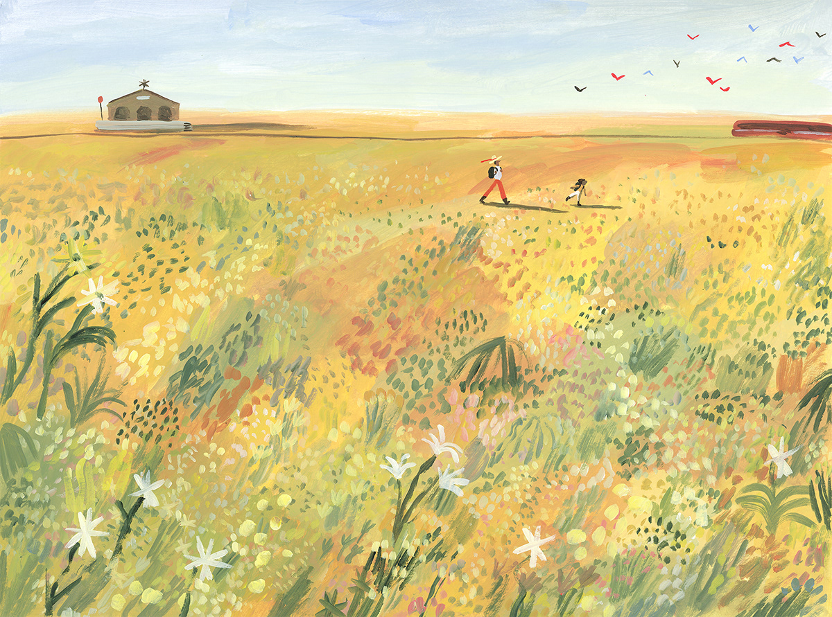 I DREAMED OF A TREASURE by Marc Majewski