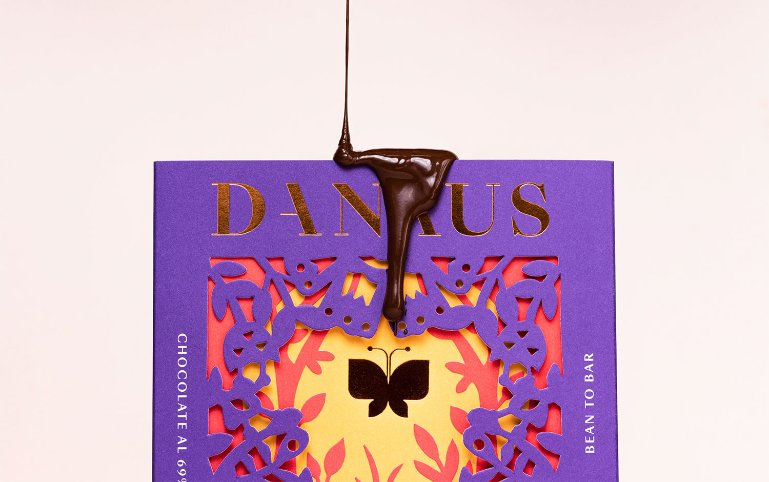 Danaus Chocolate by Alejandro Gavancho