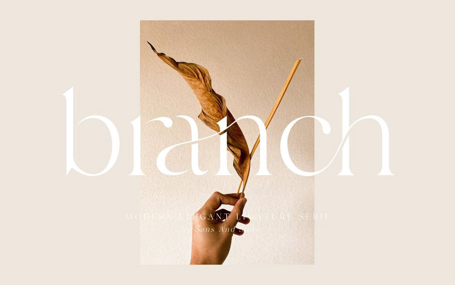 Branch - Modern Ligature Serif by Lillian Cianciolo