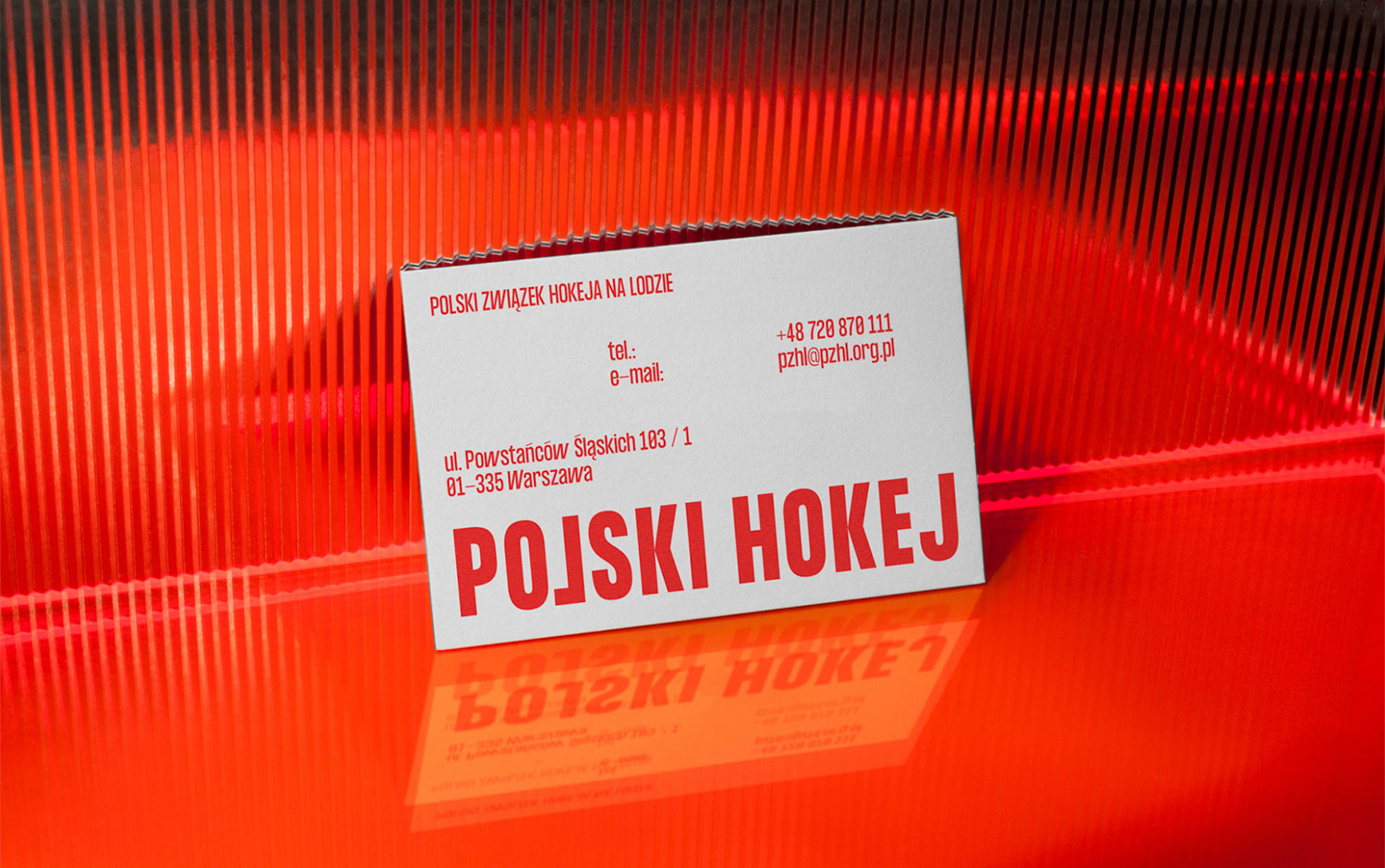 Polish Hockey Jarosław Dziubek