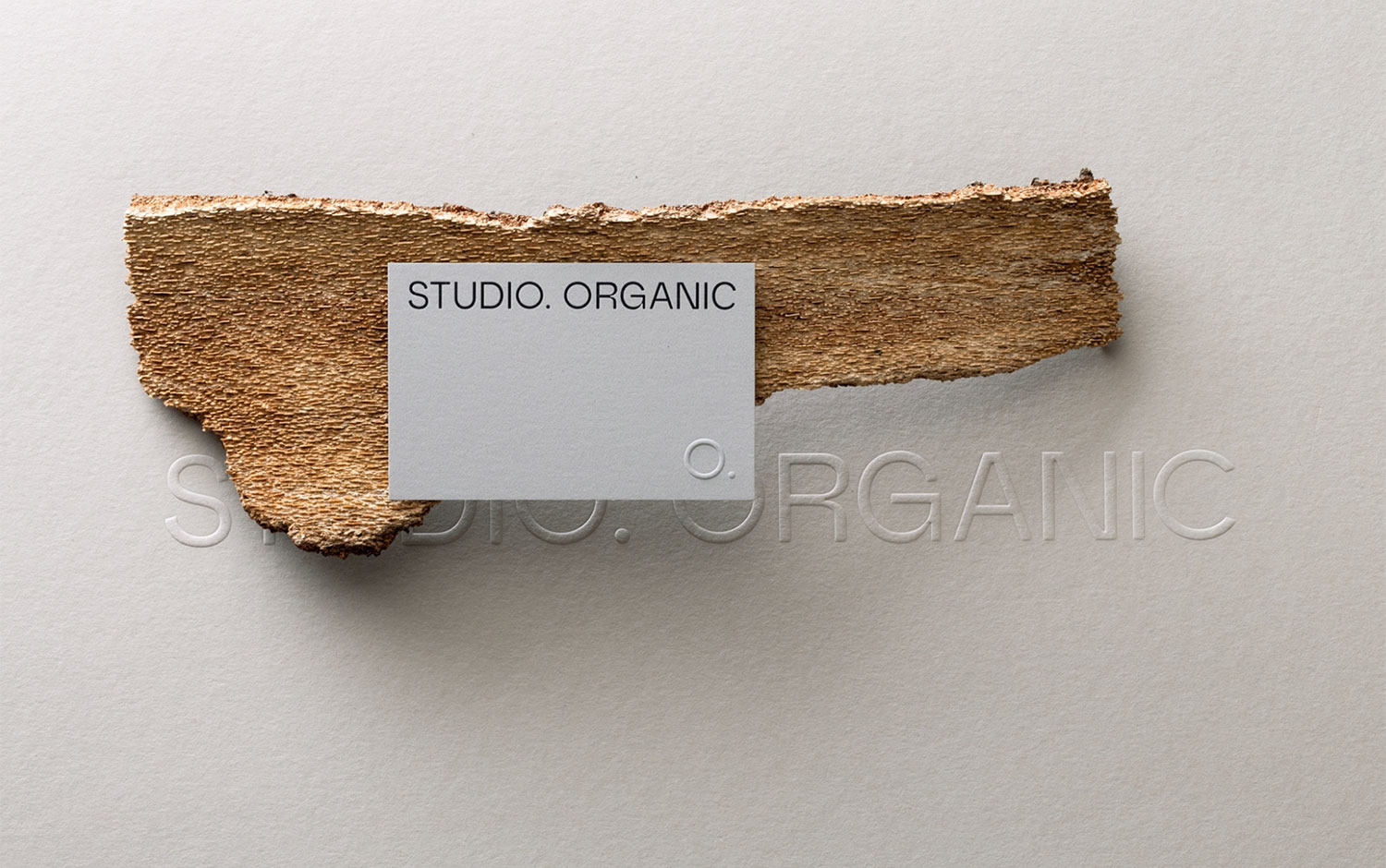 Studio Organic by Uniforma Studio
