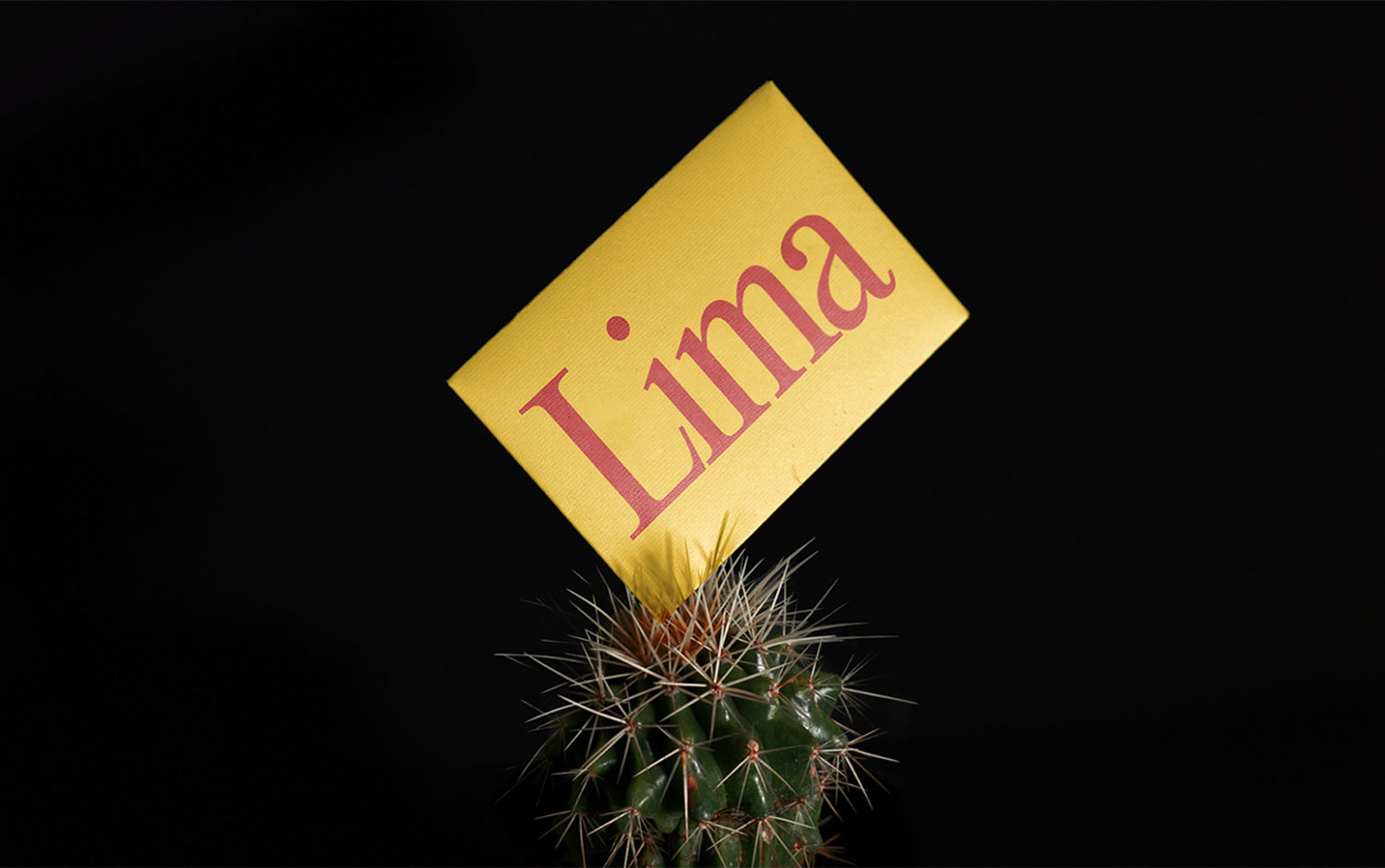 Lima by Jarosław Dziubek