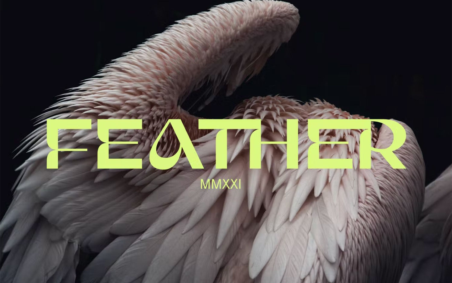 Gunter Display Font by Michiko Aron