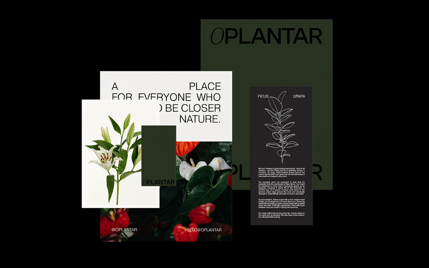 O PLANTAR by Tamires Brito
