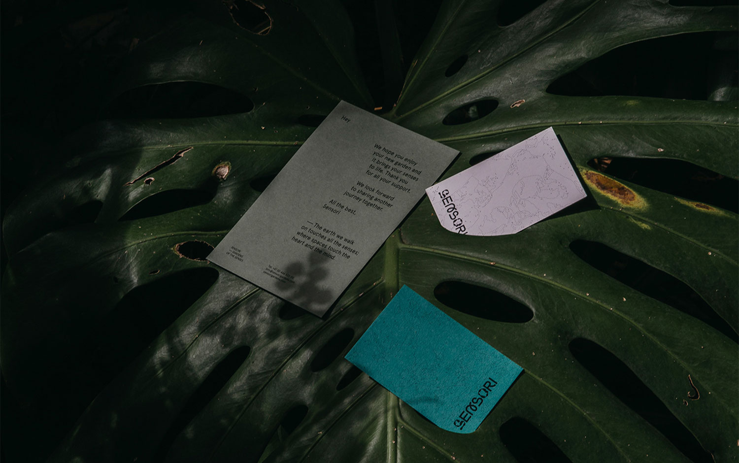 Sensori by Thought & Found .